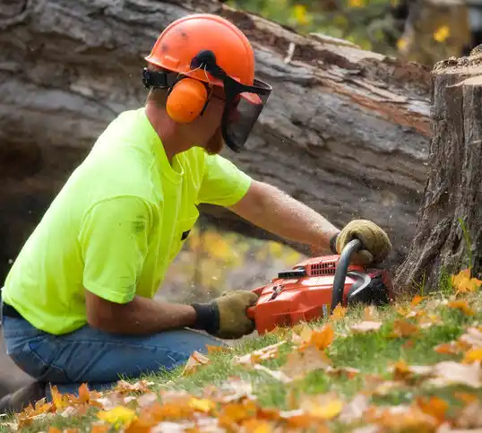 tree services Rougemont